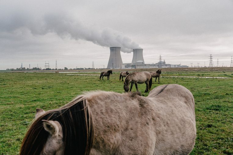 De kerncentrale in Doel. Beeld Wouter Van Vooren