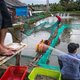 Bodemdaling is niet alleen in Nederland een probleem. In Vietnam lopen 18 miljoen mensen gevaar
