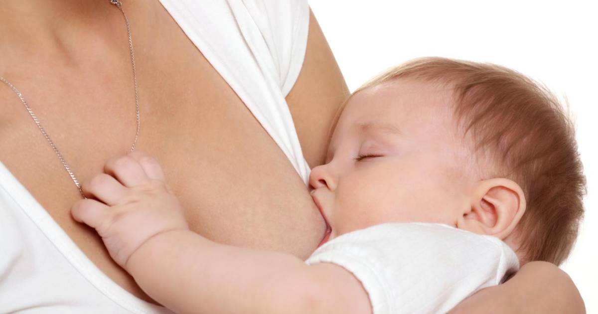 Aalsterse Horecazaak Zette Mij Op Straat Omdat Ik Borstvoeding Wilde Geven Binnenland Hln Be