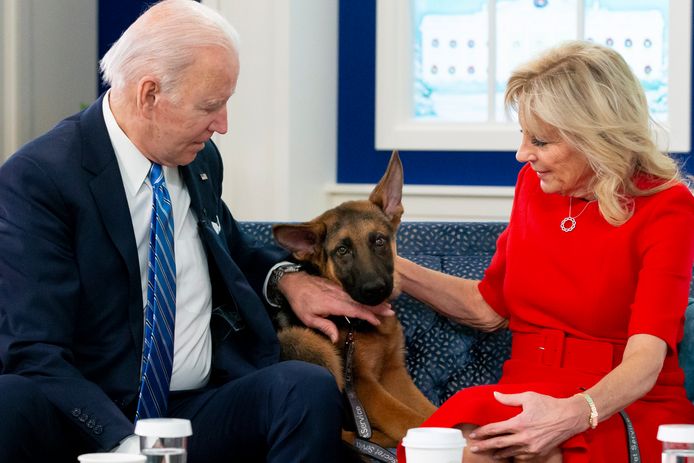 Joe et Jill Biden avec Commander, leur berger allemand