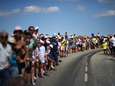 Le Tour des Flandres, Paris-Roubaix, la Flèche Wallonne et Liège-Bastogne-Liège reportés