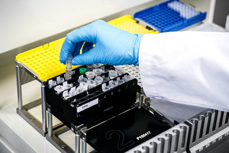 Een medewerker van een medisch laboratorium test een monster op het coronavirus.  Beeld ANP