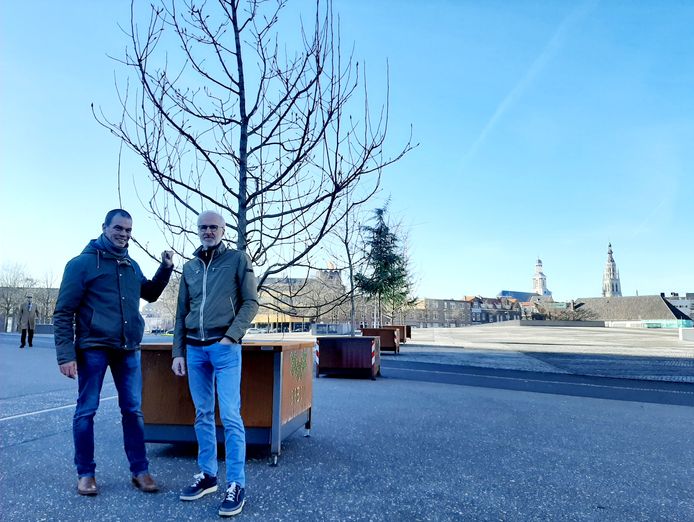 Anton Lips, manager Openbare Ruimte van de gemeente Breda, en Ernie Romers, bewoner van het Chassé Park, bij enkele van de bomen van het 'flexibele stadspark'.