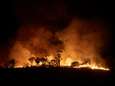 Na helse branden in Australië ook bij ons grotere kans op bosbranden
