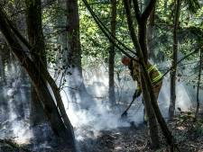 Brandweer rukt massaal uit voor brand in Zwols bos