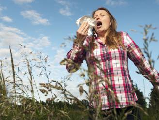 Opgepast voor hooikoorts: graspollenseizoen is officieel begonnen