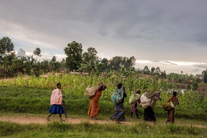 Archiefbeeld, Butembo.