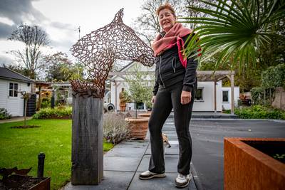 Ze kan De Rips niet loslaten, en daarom schenkt Anneke het honderdjarige dorp een kunstwerk