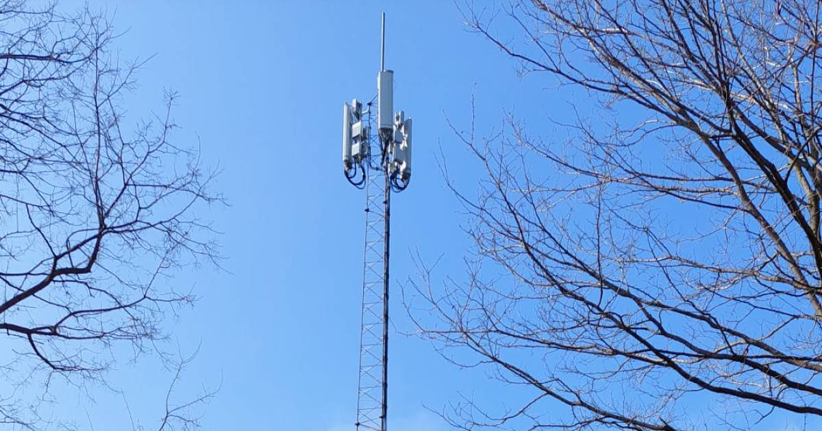 Ineens stond ie er: een metershoge zendmast midden in een groen park in Amersfoort: ‘Wie verzint zoi