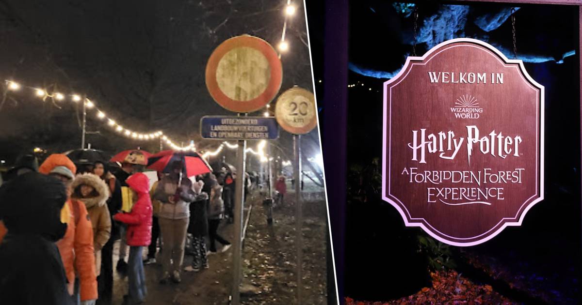 Honderden klachten over Harry Potterspektakel “Vermijd deze plek als