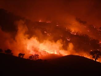 Kwart miljoen mensen in Australië gevraagd te evacueren nu twee bosbranden zo groot als Limburg samensmelten tot één groot inferno