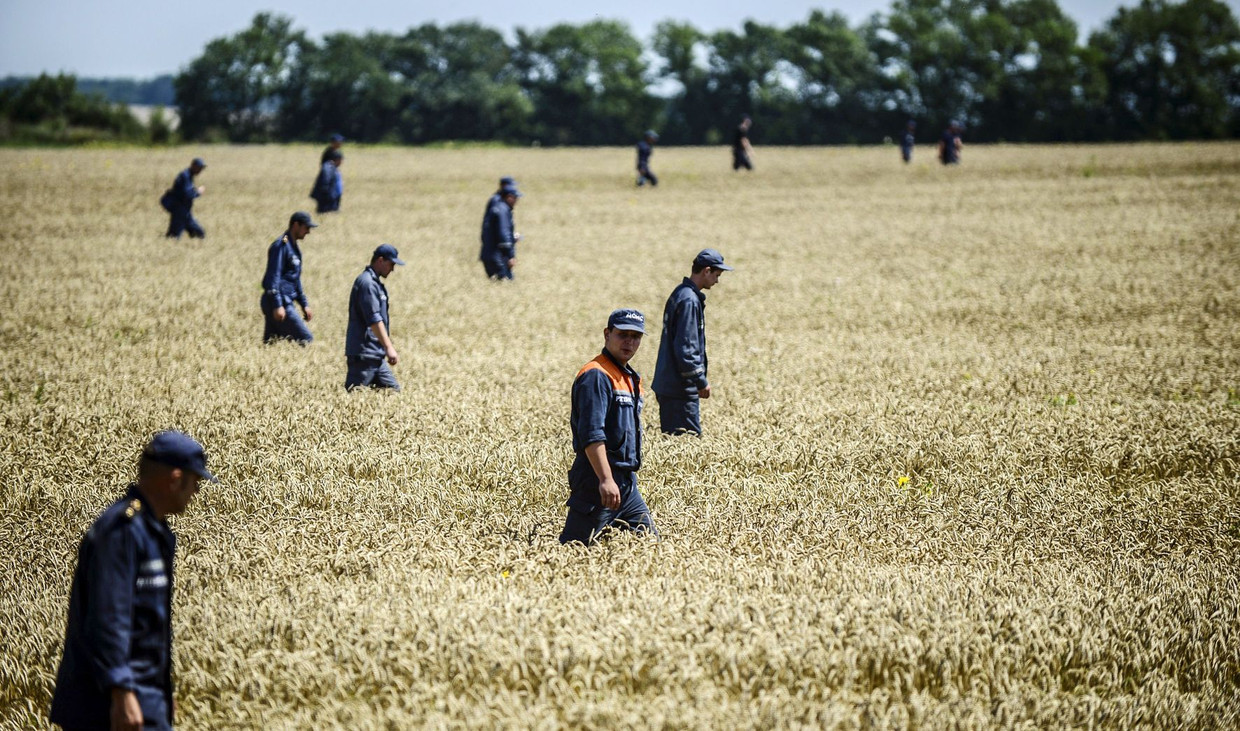 Oekraïense soldaten zoeken in een nabijgelegen veld naar lichamen, enkele dagen nadat vlucht MH17 neerstortte. Beeld afp