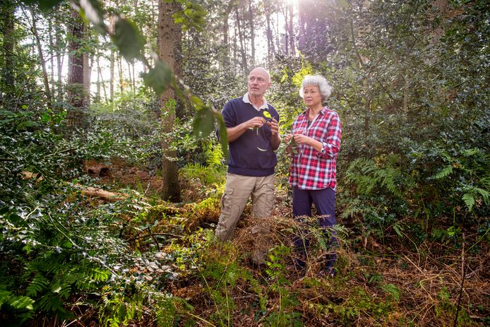LOCATIE: Breda - DATUM: 2021/09/25 - FOTOGRAAF: Pix4Profs/Edwin Wiekens - OMSCHRIJVING: foto voor de rubriek "buitenkijken", deze keer bij Gert van der Hart en zijn vrouw Charmaine Cardon