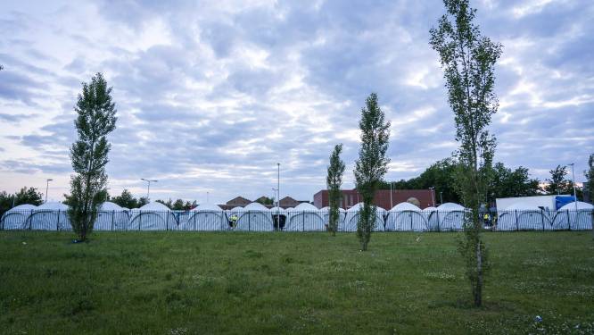Rode Kruis haalt tenten weg uit Ter Apel: ‘Niet meer nodig’