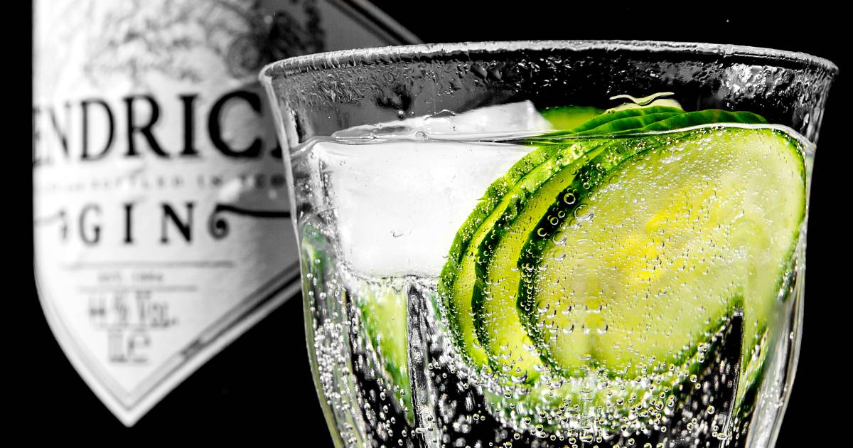 Gin Festival Utrecht de onstuitbare opmars van gintonic Utrecht AD.nl