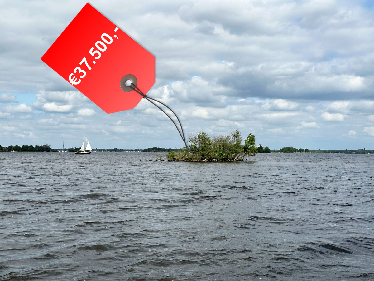 wie-legt-er-nou-37-500-euro-neer-om-eigenaar-te-worden-van-een-struik