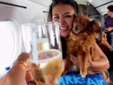 Zo zag eerste vlucht van luxueuze luchtvaartmaatschappij voor honden eruit: "Hij mocht in de cockpit"