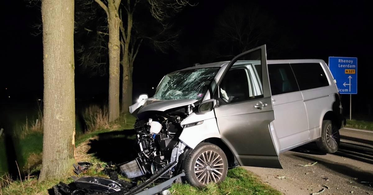 Automobilist raakt gewond bij botsing tegen boom op N327 bij Gellicum