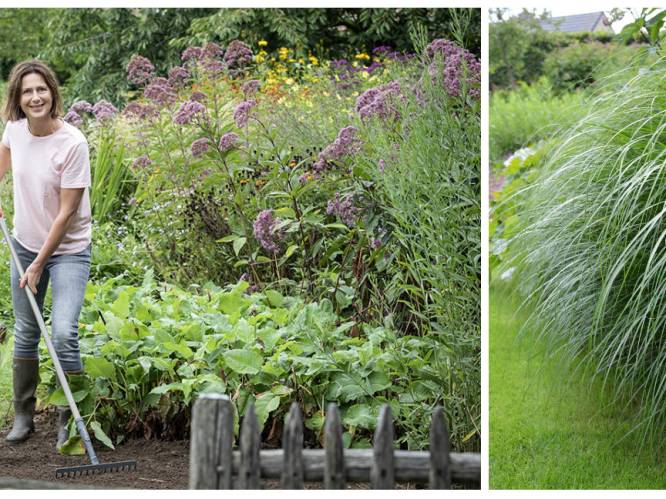 Amper onderhoud, mooi in bloei: tuinexperte Laurence Machiels geeft 10 redenen om je tuin vol siergrassen te zetten
