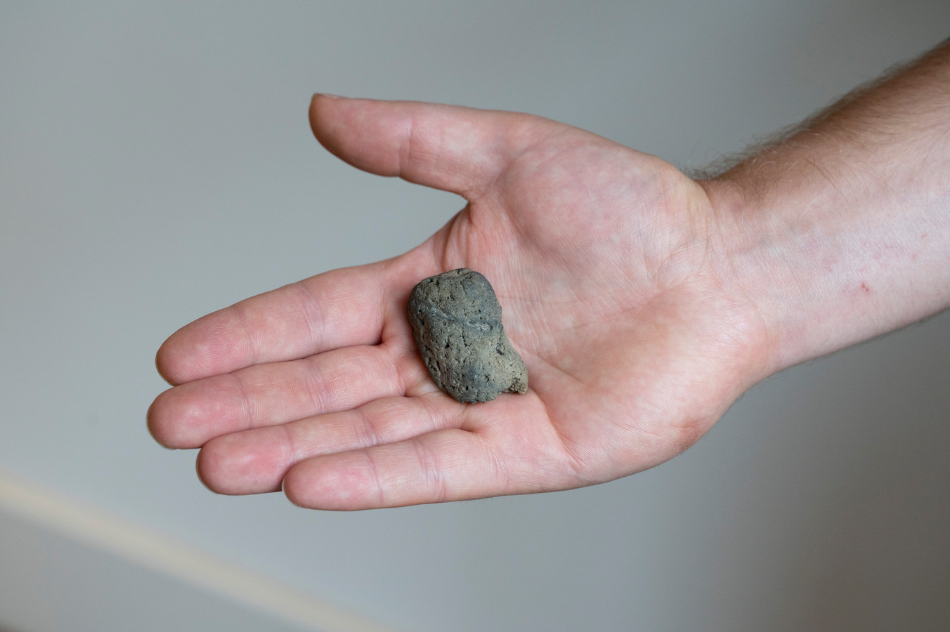 Rens Cronau vond een versteende keutel van een wild zwijn van 125.000 jaar oud.