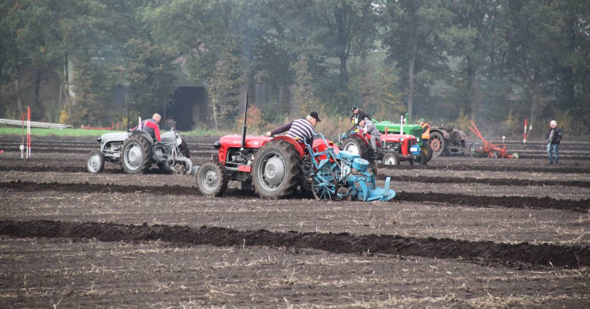 Beste ploegers van Nederland verzamelen zich in Rilland - Provinciale Zeeuwse Courant