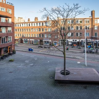 Witte de Withplein to get trees after long-running conflict with help from artist