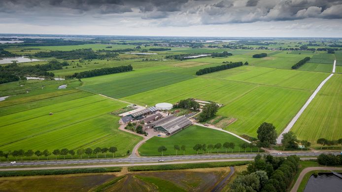 De plek aan de Zomerdijk in Wanneperveen waar het zonnepark moet komen.