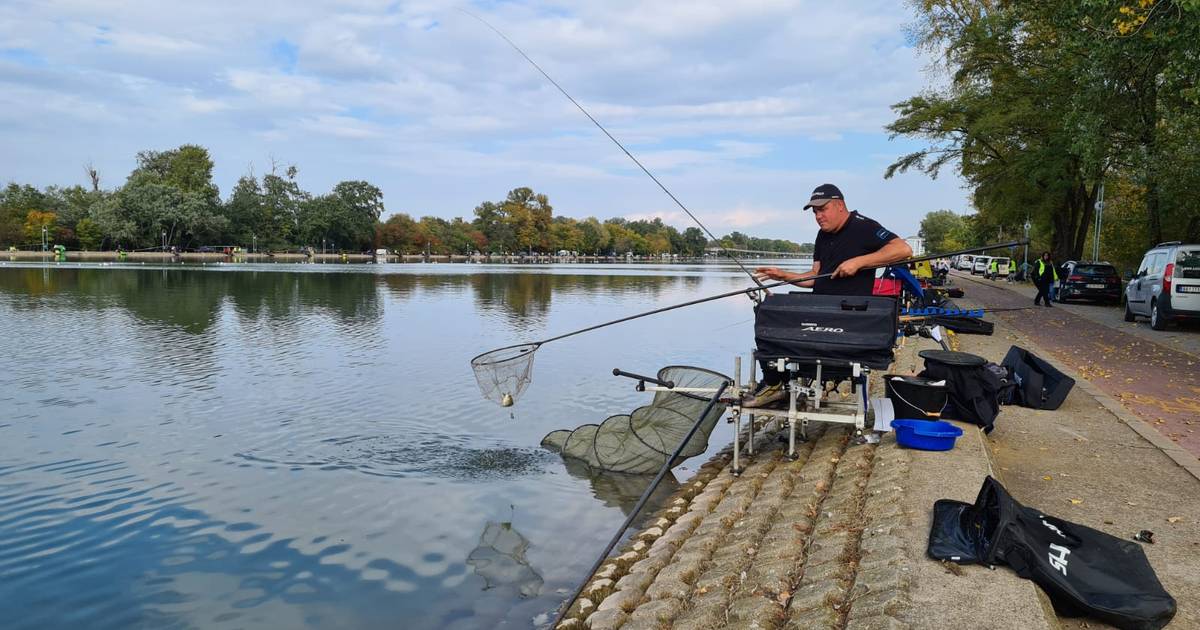Martijn uit Terwolde verovert wereldkampioenschap feedervissen met team: ‘vorstelijk voeren’