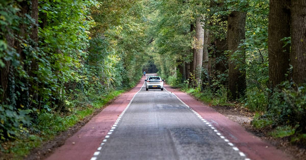 Rijkswaterstaat en Raalte willen veelbesproken Schoonhetenseweg afsluiten van N35 - De Stentor