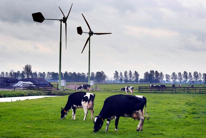 De turbines in kwestie staan al een jaar op een boerenerf aan het Graafland. De gemeente Molenlanden verleende een vergunning, maar zag over het hoofd dat die in strijd is met de eigen regels.