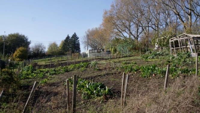 Une lueur d’espoir pour les 77 locataires des potagers du Thier-à-Liège
