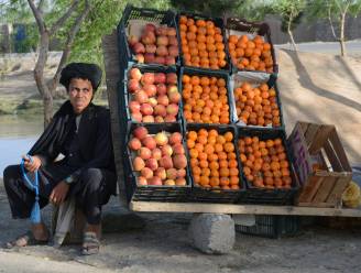 Wereldbank ziet "alternatieve weg" om economische ramp in Afghanistan te vermijden