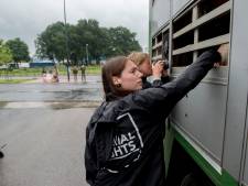 PvdD wil antwoorden over coronasituatie in Apeldoornse slachterijen