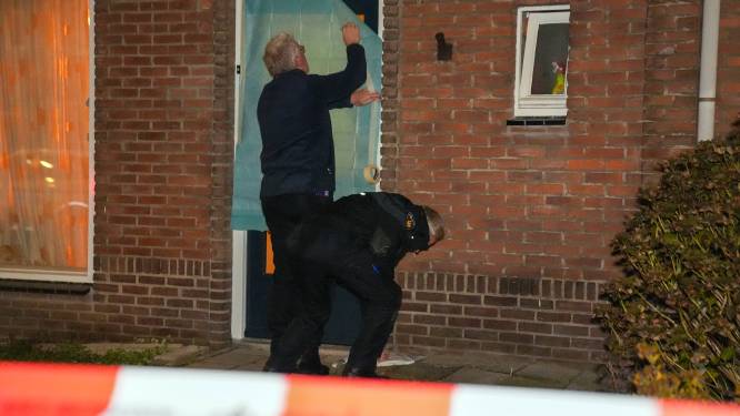 Deurnenaar bekent doodsteken moeder (43) in Asten
