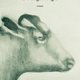 Boek van de week (en andere aanraders van de boekenredactie)