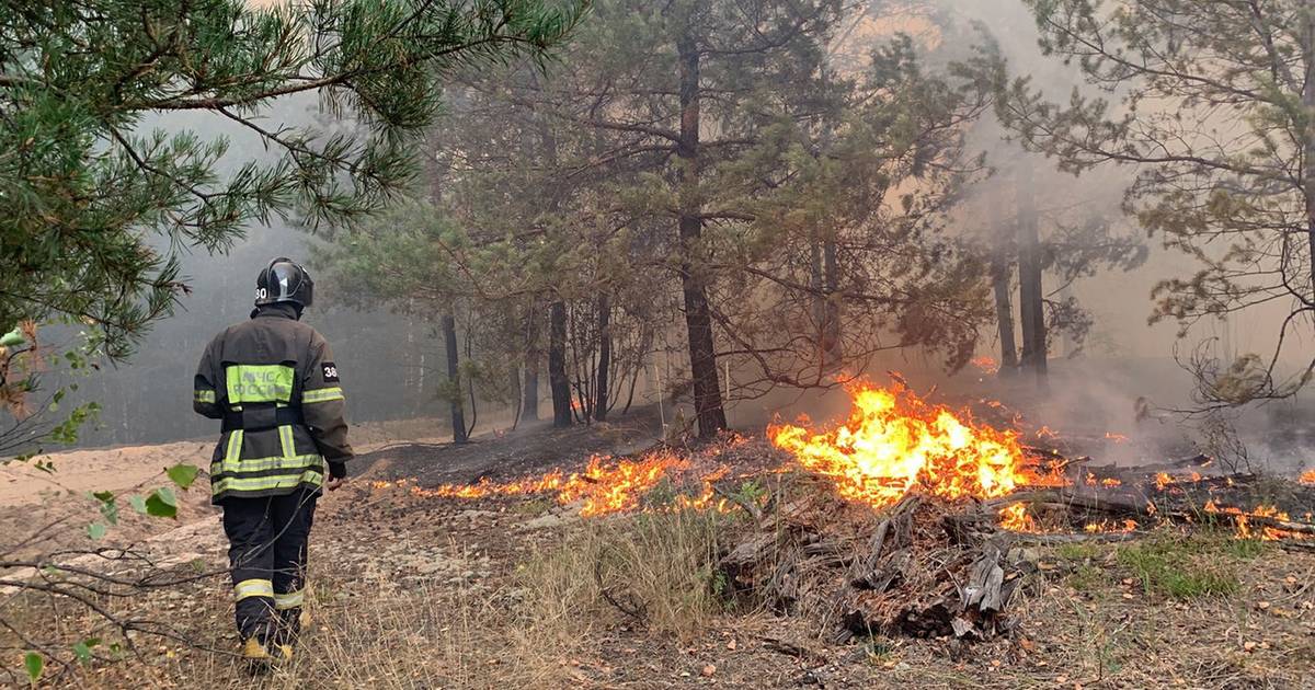 Вонючий дым окутал Москву из-за сильных лесных пожаров |  За рубежом