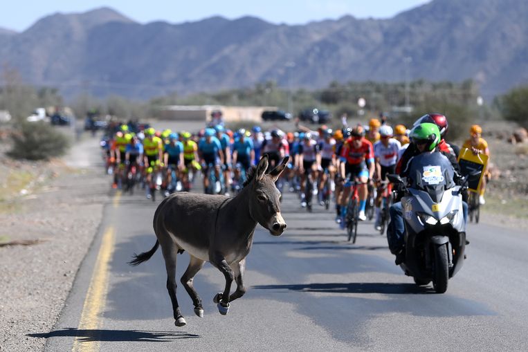 null Beeld Getty Images
