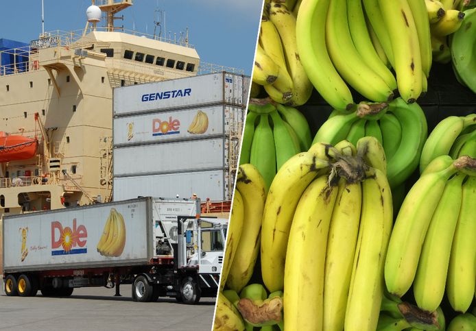 Bananentransport
