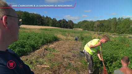 20. Ferme de Bossimé (05/10/24)