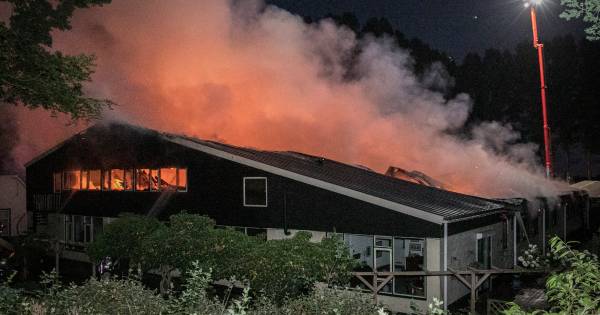 Ruim twintig paarden gered bij grote brand bij Stal Doorwerth, vier op het nippertje uit vlammenzee gehaald .