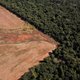 Vleesbedrijf jaagt ontbossing Amazone aan. ‘Funest voor het klimaat’