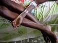 Haïti face à une crise humanitaire inquiétante après Matthew
