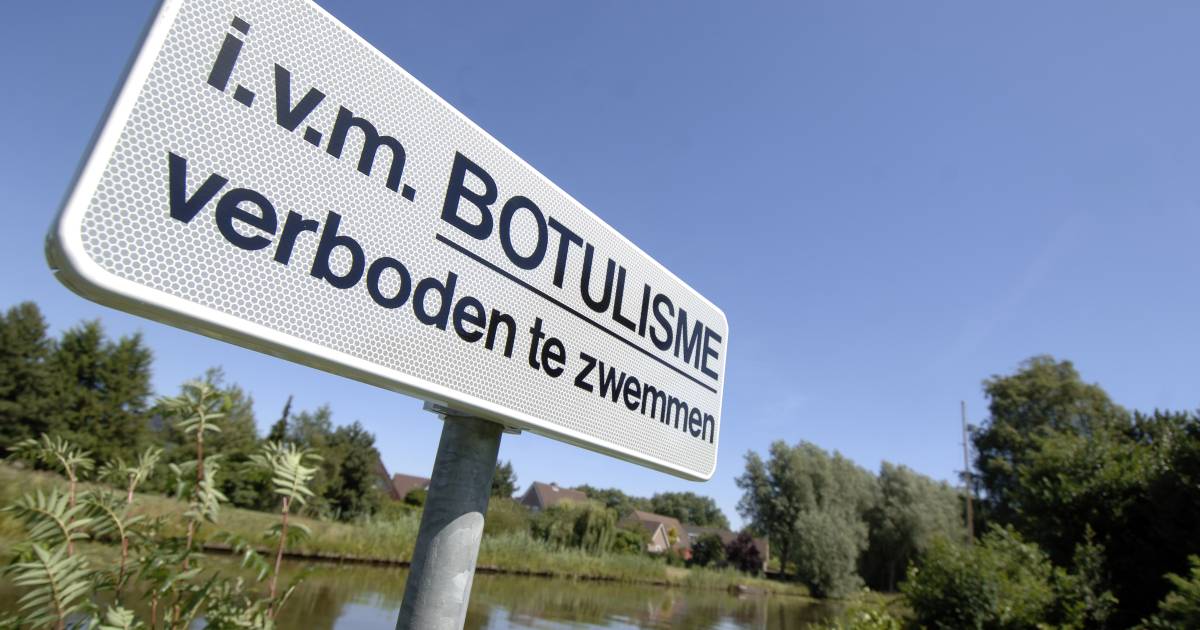 Mogelijk botulisme in Maarssenbroek: vermijd contact met het water en dode vogels | Utrecht