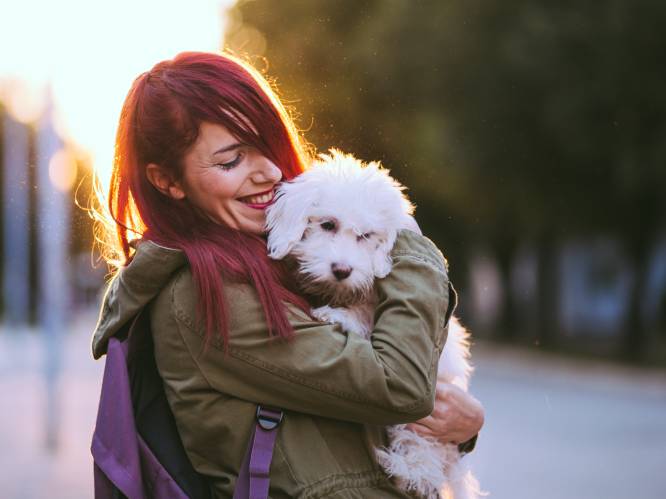 Droomjob alert: betaald worden om huisdieren te knuffelen en te verzorgen