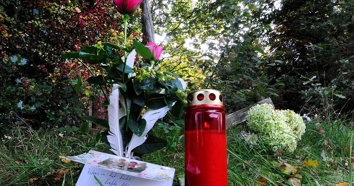 Gezinsdrama Fries dorp: 'Jongste zoon is raar, maar weer niet zó raar'