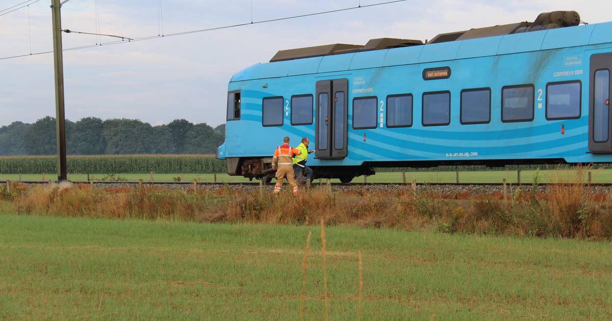 Geen treinen naar Ede door ongeluk op spoor.