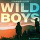 Canadese podcast ‘Wild Boys’ is spannend en verontrustend van begin tot eind ★★★★☆