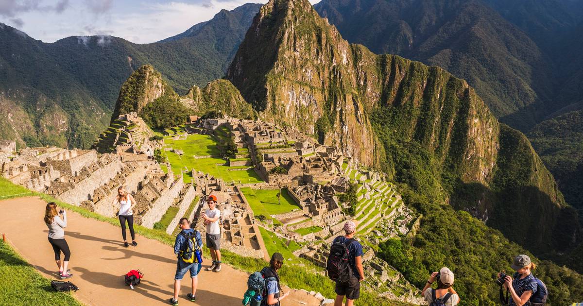 Twee nieuwe hagedissensoorten ontdekt in Peru