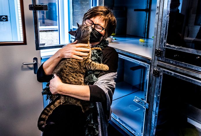 Margot Reesink en haar kat Husman knuffelen met elkaar tijdens het weerzien.