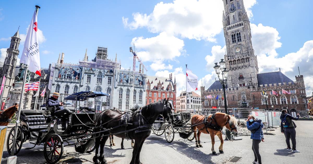 Conserveermiddel Bezwaar Chaise longue Brugse koetspaarden verschijnen na meer dan halfjaar weer in het  straatbeeld: “Nu geraken ze wel van hun coronakilo's af” | Brugge | pzc.nl